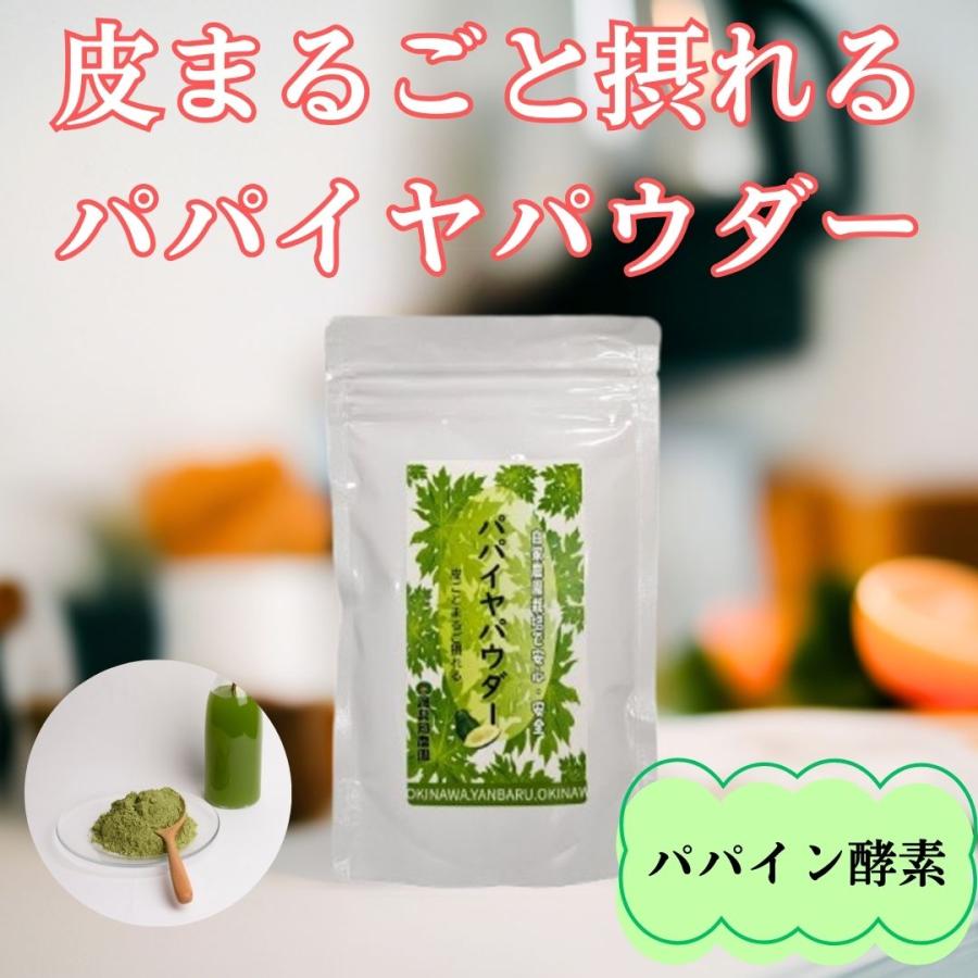パパイヤパウダー 沖縄産 パパイヤ 粉末 80g 青パパイヤ 沖縄パパイヤ