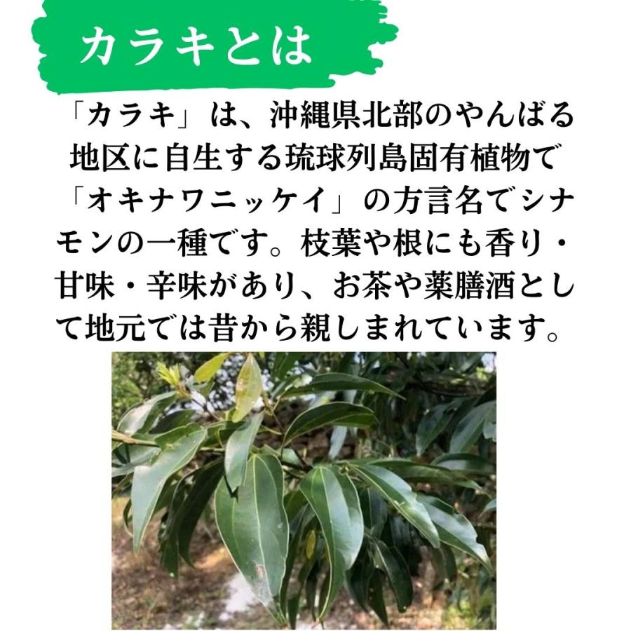 からきパウダー 沖縄産 シナモン 粉末 30g 琉球カラキ オキナワ