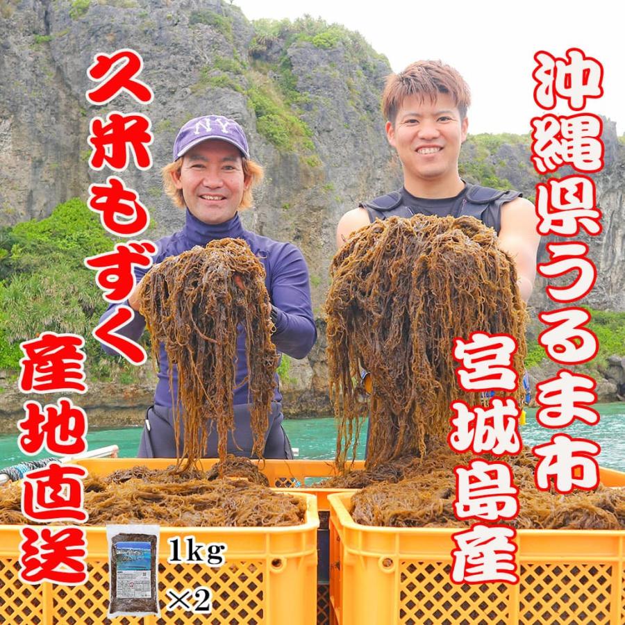 もずく 漁師直送 久米もずく1kg 2袋 セット うるま市 宮城島 もずく 漁師直送 久米もずく1kg 2袋 セット うるま市 宮城島