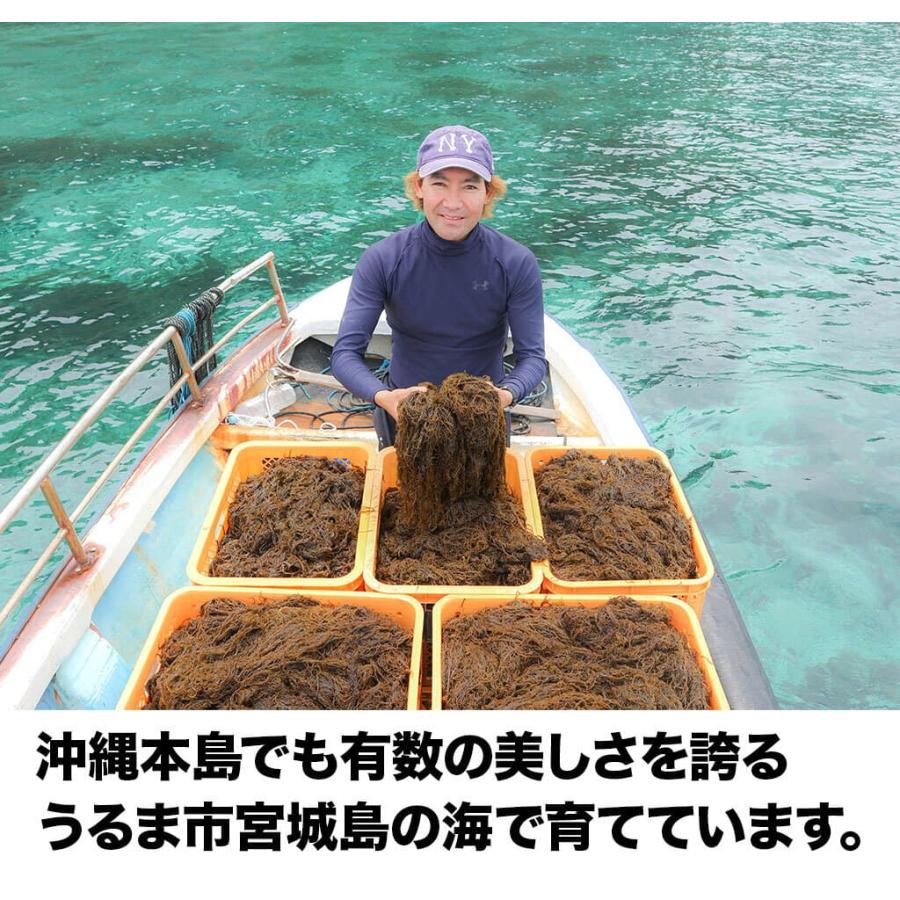 もずく 漁師直送 久米もずく500g 10袋 セット うるま市 宮城島｜okinawacompass｜09