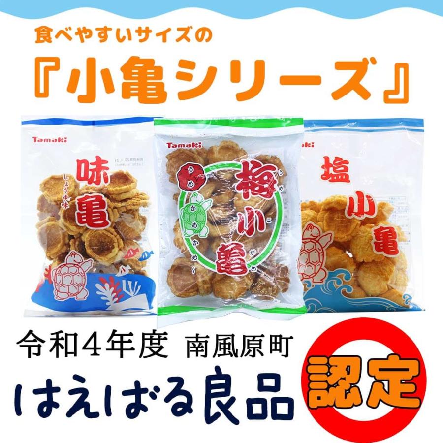 塩味 塩小亀×6袋セット 亀の甲せんべい 沖縄 亀せんべい 駄菓子 玉木 