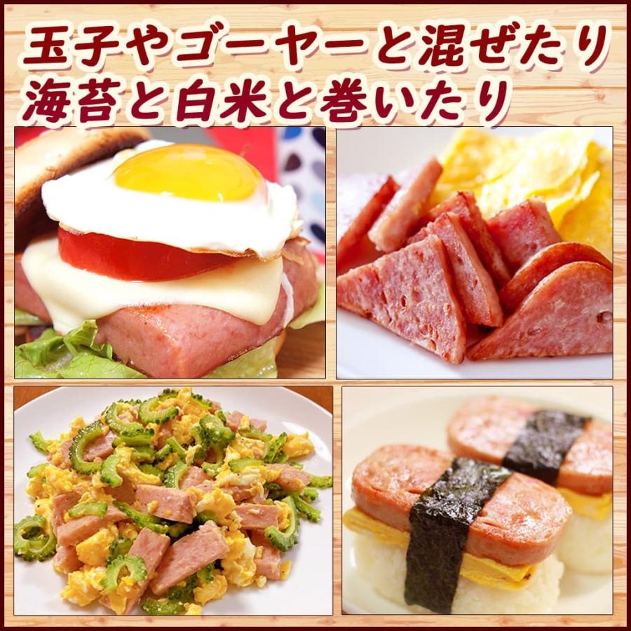 スパム SPAM ランチョンミート ポーク串 減塩 340g 5缶セット｜okinawacompass｜03