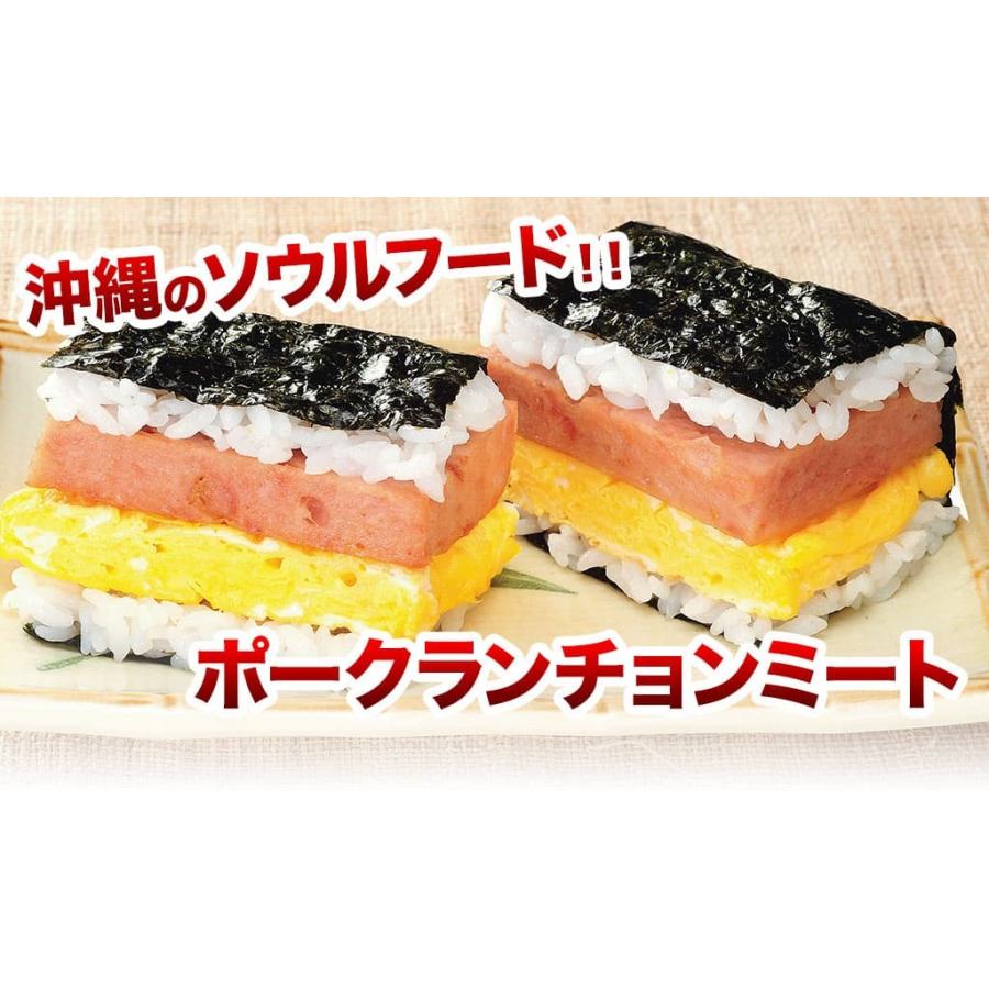 チューリップ ポーク ランチョンミート ポーク串 うす塩味 2缶セット
