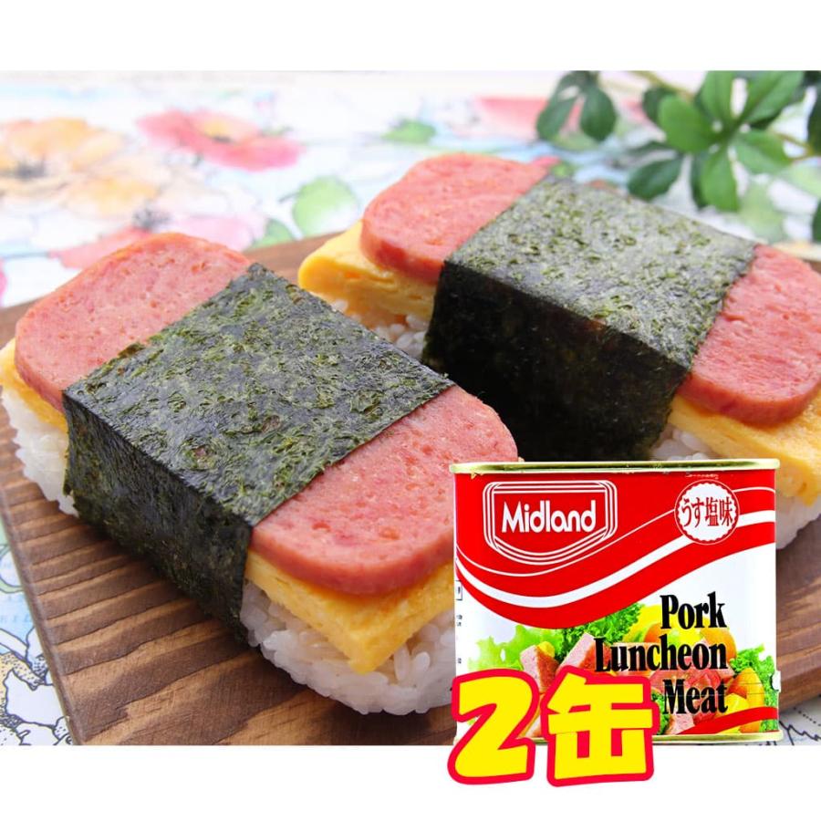 ミッドランド ポークランチョンミート ポーク串 うす塩味 300g×2缶