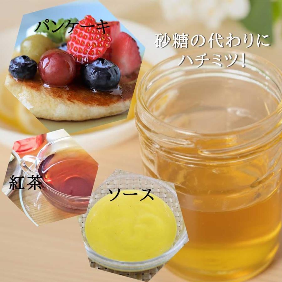 ハチミツ 百花はちみつ コハマのハチミツ 小浜養蜂場 ハチミツ 原液100％ 500g |  | 07