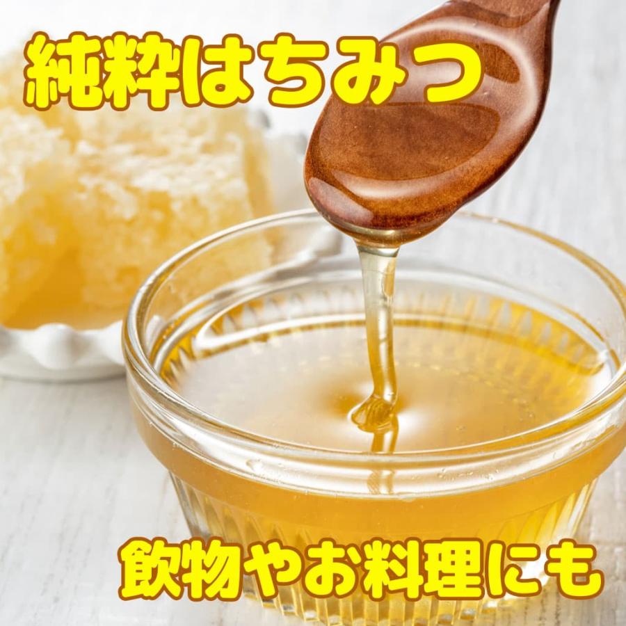 ハチミツ 百花はちみつ コハマのハチミツ 小浜養蜂場 ハチミツ 原液100％ 500g |  | 01