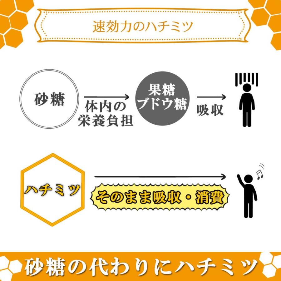 コハマのハチミツ 小浜養蜂場 国産ハチミツ ビデンスピローサ 500g 4本セットの画像