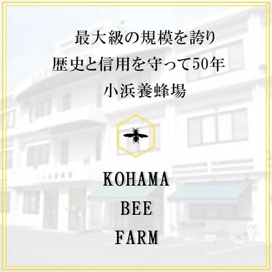 コハマのハチミツ 小浜養蜂場 国産ハチミツ ビデンスピローサ 500g 4本セットの画像