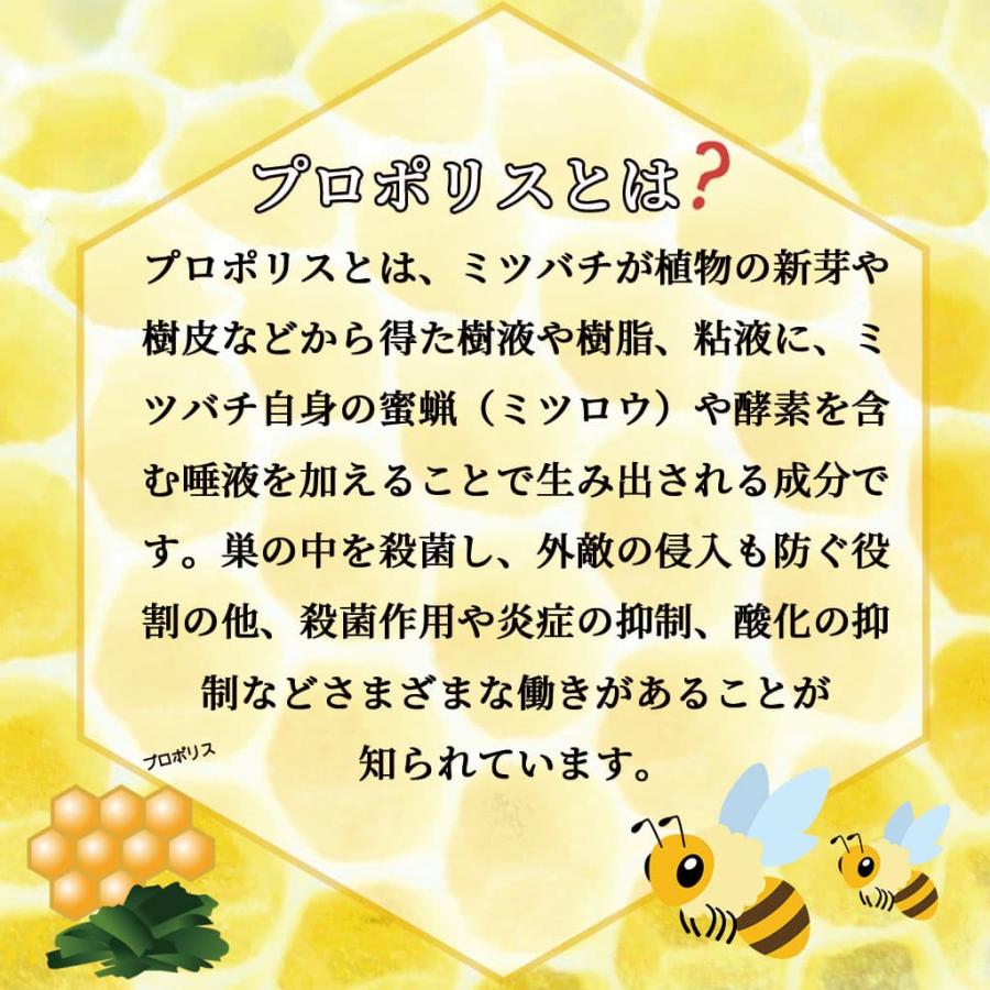 ビデンスピローサ ハチミツ 200g プロポリスハチミツ 200g 2種類セット｜okinawacompass｜08