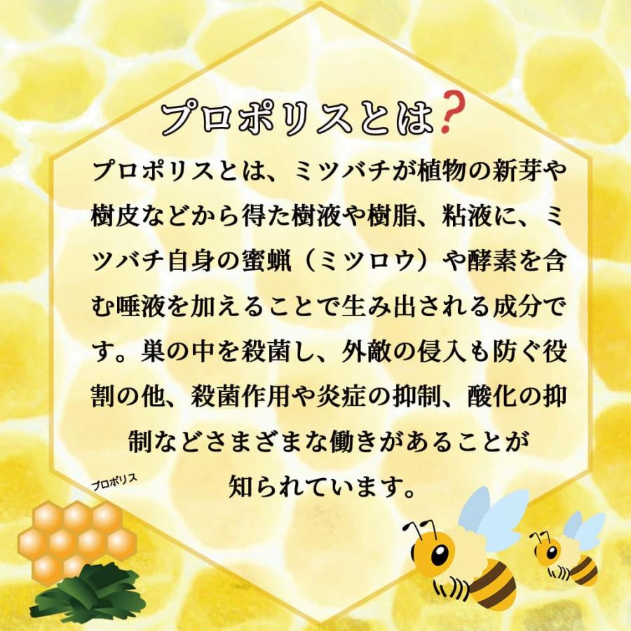 コハマのハチミツ プロポリス 生ローヤルゼリー入 ハチミツ はちみつ 蜂蜜 小浜養蜂場 500g 1本 200g 2本セット 計3本_5