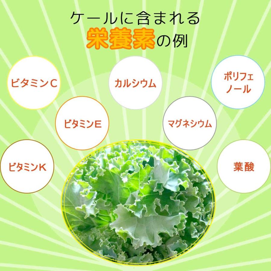 ✨麹まるごと贅沢青汁 3箱セットおまけ付き✨ 公式麹まるごと贅沢青汁