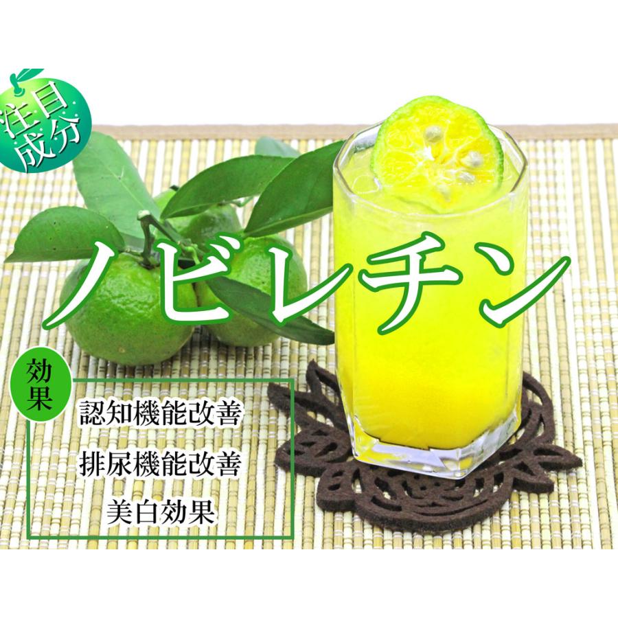シークワーサー四季柑入り シークヮーサー 500ml 10本セット : Compass