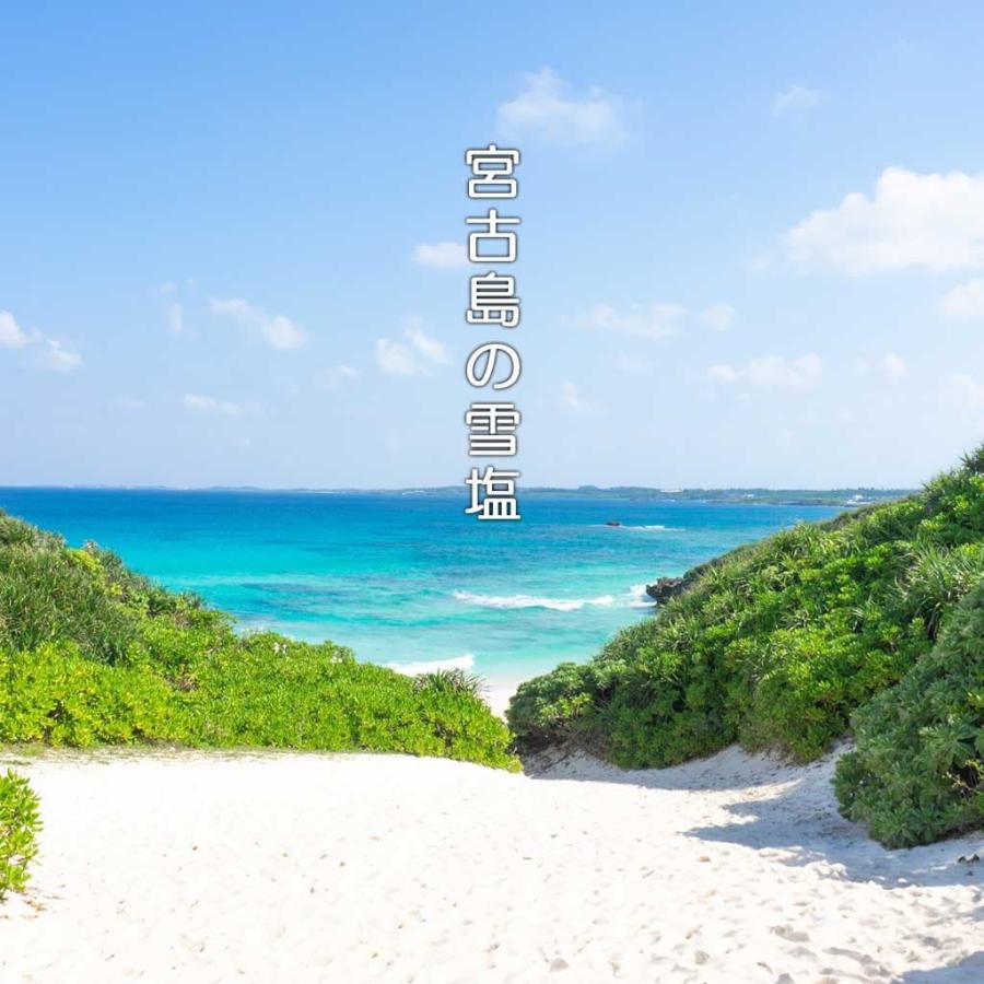 雪塩 宮古島の海の恵み 120g 3個セット : Compass沖縄 ヤフー店 - 通販