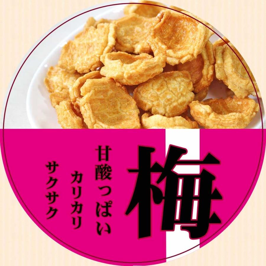小亀せんべい 梅小亀75g 味亀90g 塩小亀80g 玉木製菓 各2袋 6袋 小亀せんべい 梅小亀75g 味亀90g 塩小亀80g 玉木製菓 各2袋 6袋