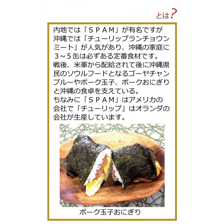コンビーフハッシュ 無添加 チューリップポーク ポーク串 保存食 非常