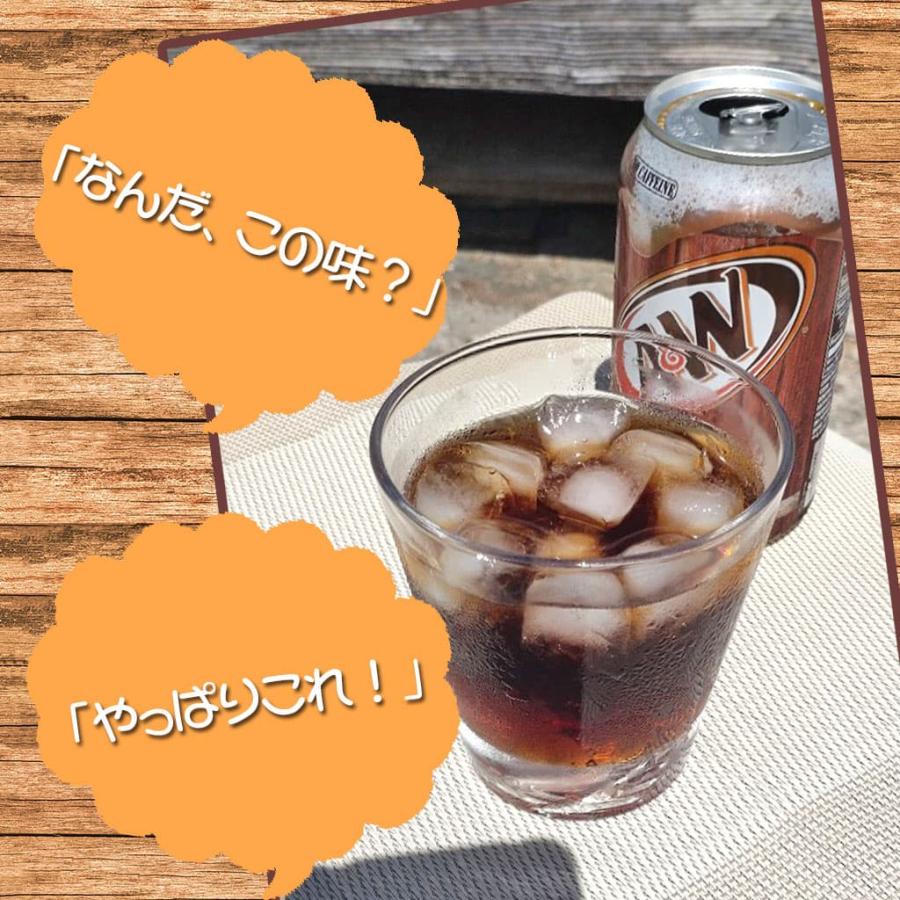 ルートビア エンダーA＆W 6缶セット 炭酸飲料 味 湿布 : Compass