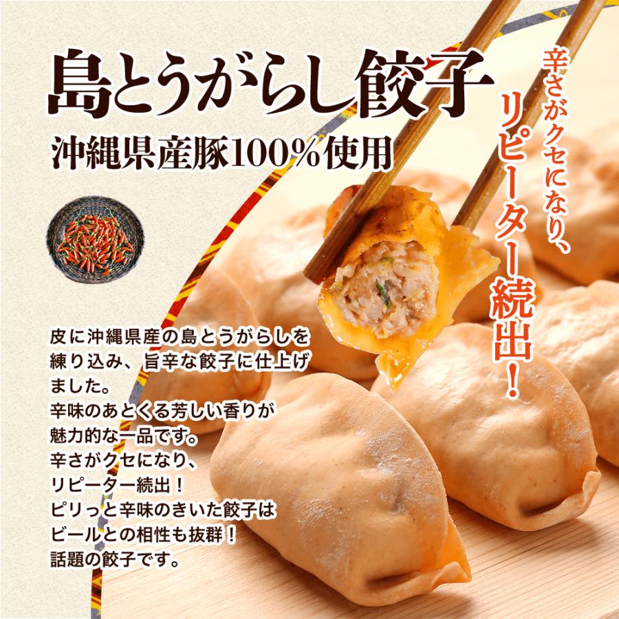 餃子 沖縄 アグー豚 もずく にんにく ゴーヤー イカスミ 島とうがらし 取り寄せ 琉みんみん 96個入 8パックセット 冷凍餃子 点心 |  | 08