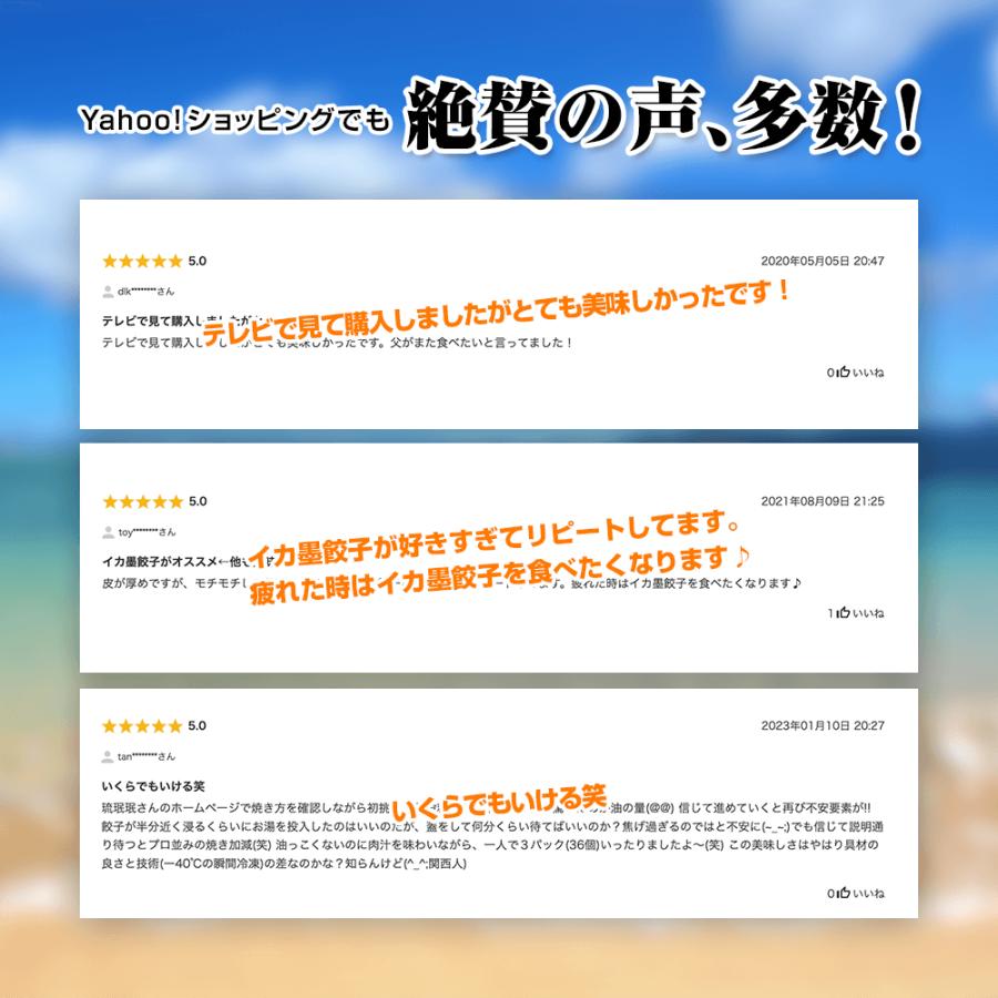 餃子 沖縄 アグー豚 もずく にんにく ゴーヤー イカスミ 島とうがらし 取り寄せ 琉みんみん 144個入 12パックセット 冷凍餃子 点心｜okinawagyuza｜11