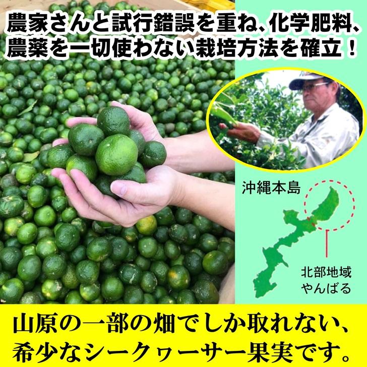 シークワーサー 原液 ジュース 農薬不使用 山原シークワーサー 黒