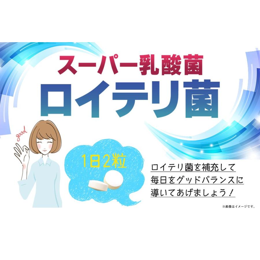 乳酸菌 タブレット サプリ ロイテリ菌 180粒 送料無料｜okinawangirls｜02