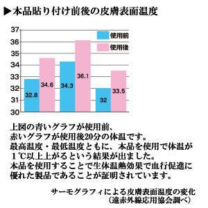 丸山式コイル ブラックアイ 2個入り 2個セット 一般医療機器