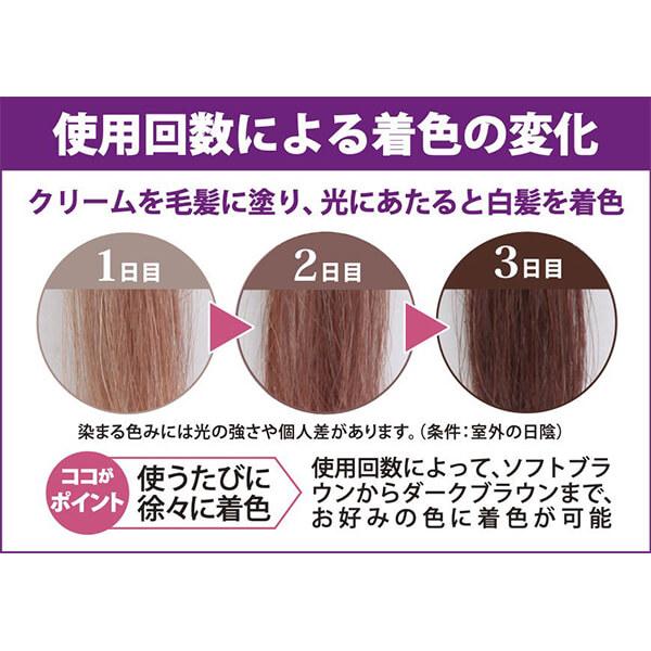 ヘアカラー トリートメント ブラウン ルミナマジック SR 40g 3個セット 送料無料の画像