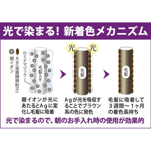 ヘアカラー トリートメント ブラウン ルミナマジック SR 40g 3個セット 送料無料の画像