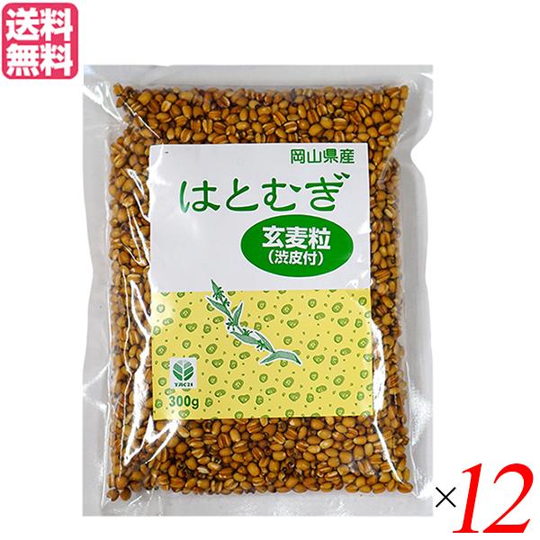 はと麦 はとむぎ 玄麦粒渋皮付 300g TAC21 12個セット 送料無料