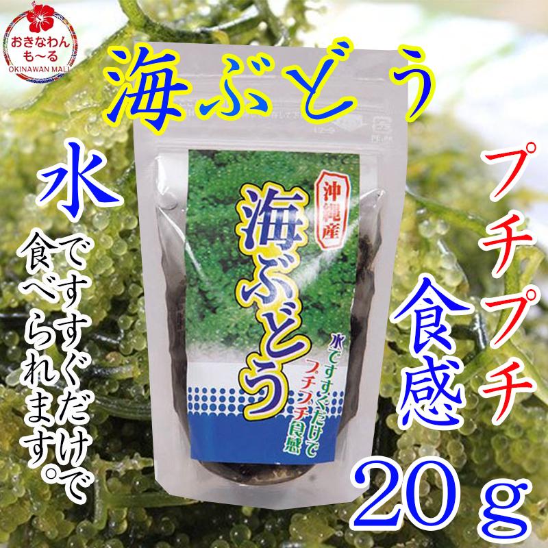 海ぶどう 海ブドウ 20g 沖縄県産 海水 有限会社大幸商事 沖縄県民フード プチプチ食感 お手ごろサイズ 食材 加工食品 お土産｜okinawanmall