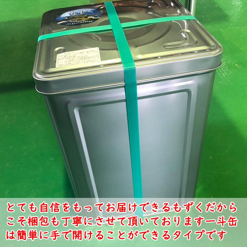 沖縄 太もずく 一斗缶18kg つけん島産 塩漬け 送料無料 割烹・料亭