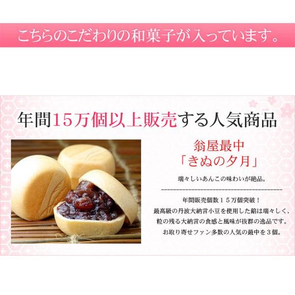 　和菓子詰合せ　満天星　新春セール特価｜okinayawagashi｜02