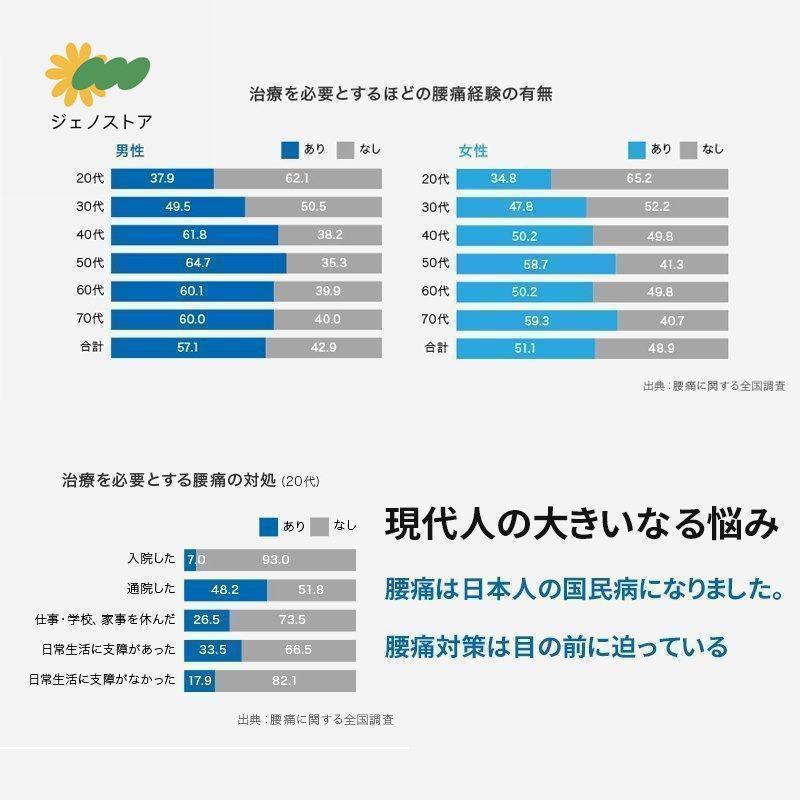 マッサージ器 AORTD 腰 ふくらはぎ マッサージ器具 背中 腰痛対策 肩甲骨 仕事での腰の痛みやコリを解消 男女兼用 新年 クリスマス プレゼント おすすめ｜okini-mesmamaya｜03