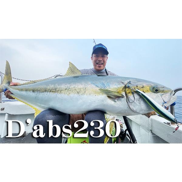 DーCLAW ダブス 230 / D-CLAW（ディークロウ） : 沖之島商店Yahoo!店