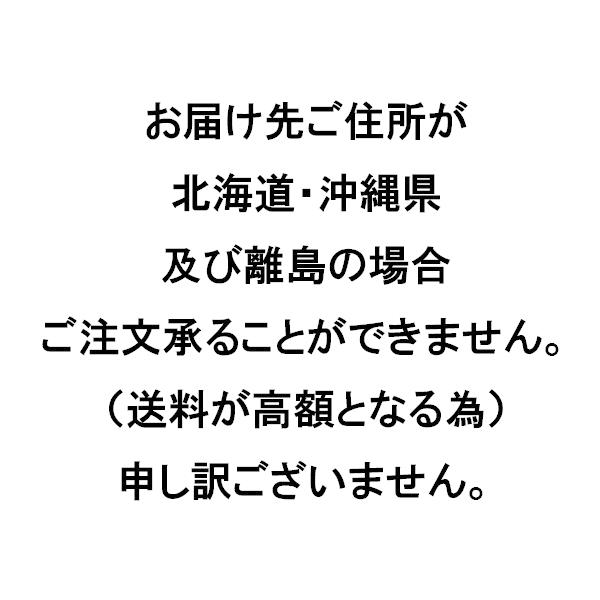 GAN CRAFT（ガンクラフト） Killers-00 TRAITOR (トレイター) KGS-00 3