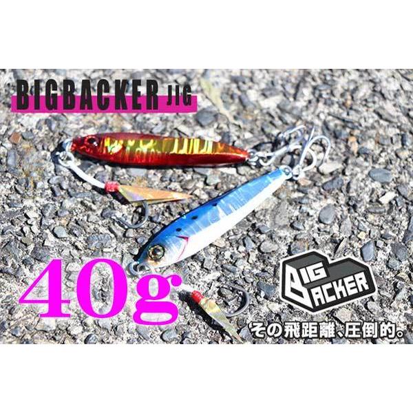JACKALL（ジャッカル） ビッグバッカー ジグ 40g / ジャッカル