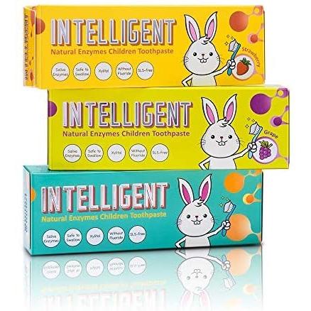 フッ素無し 泡立ちなし うがい不要 辛くないインテリジェント唾液の自浄酵素入り子供用歯磨き粉40g 低刺激 内容量 40ｇ 2個 Oki Uap06w4bj おきらく堂 通販 Yahoo ショッピング