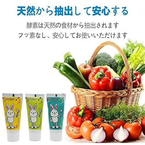 フッ素無し 泡立ちなし うがい不要 辛くないインテリジェント唾液の自浄酵素入り子供用歯磨き粉40g 低刺激 内容量 40ｇ 2個 Oki Uap06w4bj おきらく堂 通販 Yahoo ショッピング