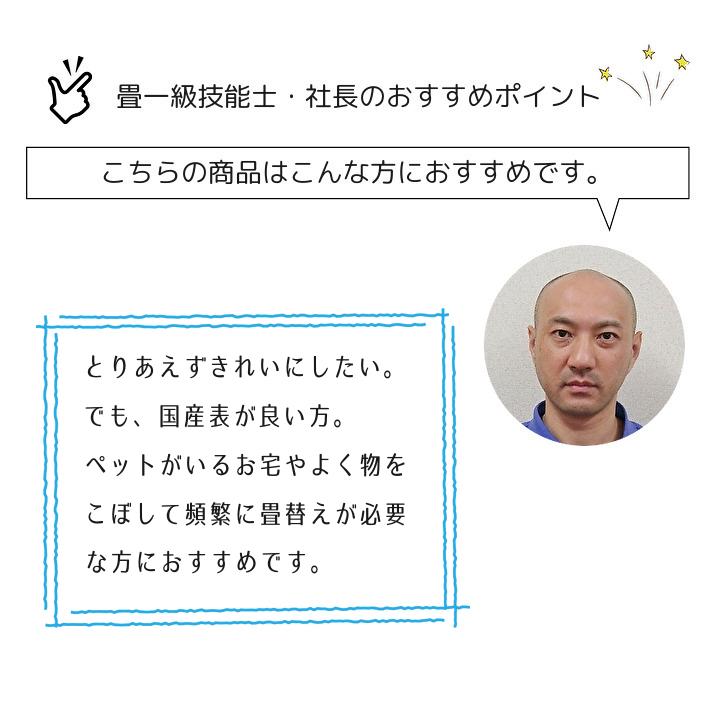 畳新調 畳替え 縁付き畳 6畳  国産表普及品【山吹】江戸間サイズ 熊本産畳表 綿糸 畳厚み30-60mm 薄畳15-25mm 和室敷き込み_2