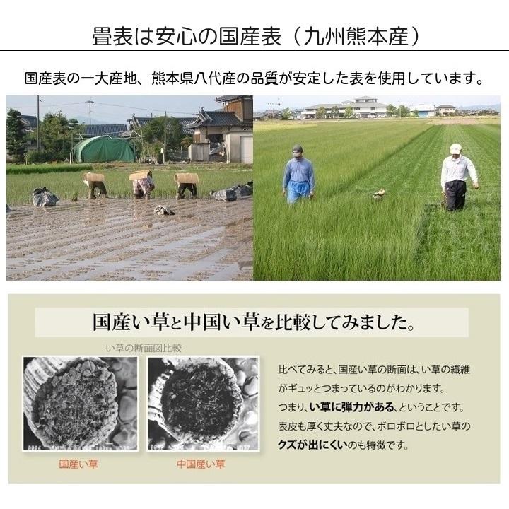 畳新調 畳替え 縁付き畳 6畳  国産表普及品【山吹】江戸間サイズ 熊本産畳表 綿糸 畳厚み30-60mm 薄畳15-25mm 和室敷き込み_4