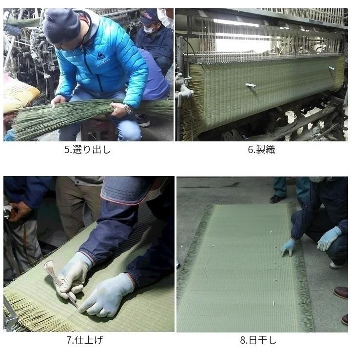 畳新調 畳替え 縁付き畳 6畳  国産表普及品【山吹】江戸間サイズ 熊本産畳表 綿糸 畳厚み30-60mm 薄畳15-25mm 和室敷き込み_6