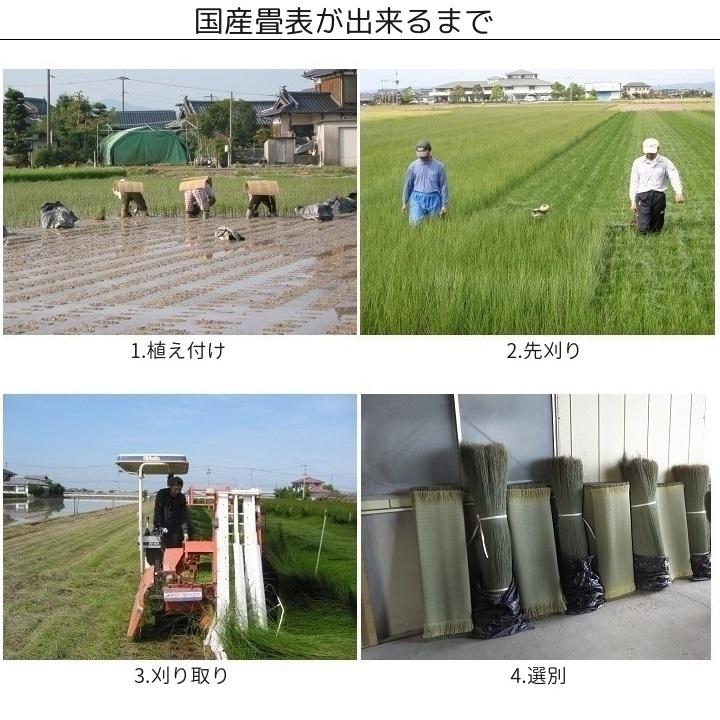 畳新調 畳替え 縁付き畳 4.5畳 国産表上級品【椿】江戸間サイズ 熊本産畳表 麻糸 畳厚み 30-60mm 和室敷き込み_5