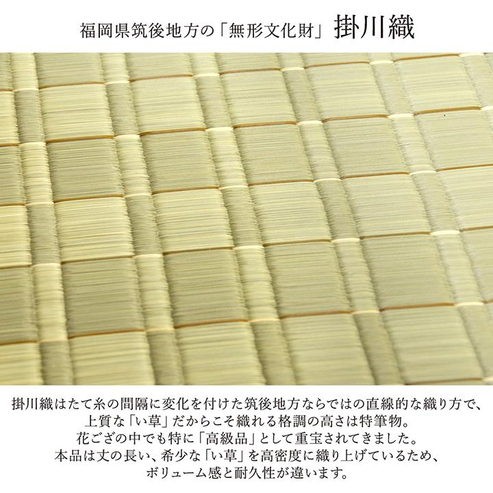 イケヒコ 国産 い草花ござカーペット 掛川織「松川」本間10畳（477.5