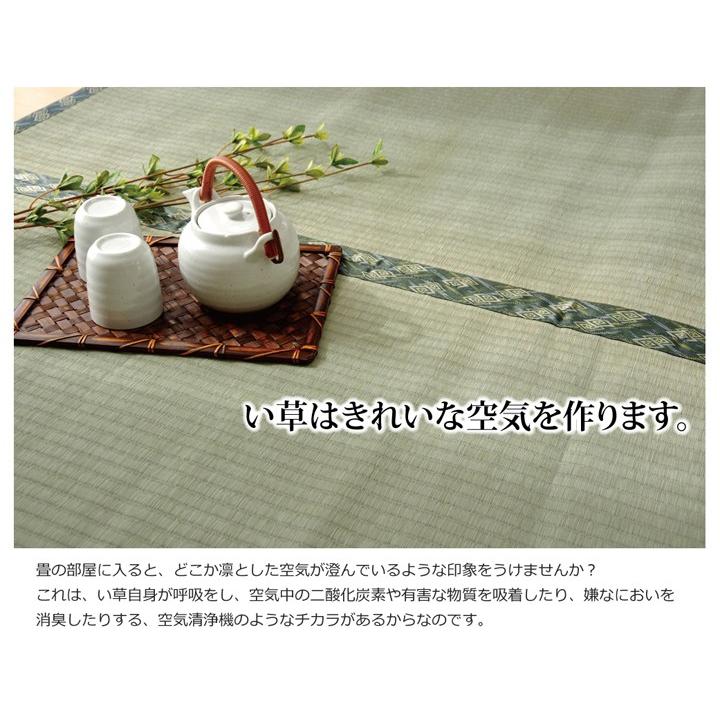 【5％OFFクーポン対象商品】純国産 い草 上敷き カーペット 糸引織 減農薬栽培「西陣」江戸間10畳（440×352cm）熊本県八代産い草使用 調湿効果 消臭効果_10