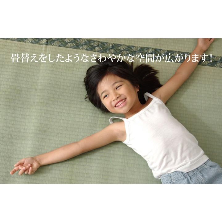 【5％OFFクーポン対象商品】純国産 い草 上敷き カーペット 糸引織 減農薬栽培「西陣」江戸間10畳（440×352cm）熊本県八代産い草使用 調湿効果 消臭効果_3