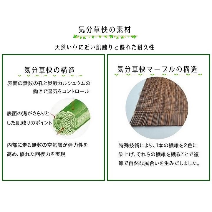 畳新調 縁なし畳 半畳（半畳1枚）樹脂表【気分草快マーブル】カラー7色  畳厚み30-60mm  薄畳15mm対応 和室敷き込みタイプ_5
