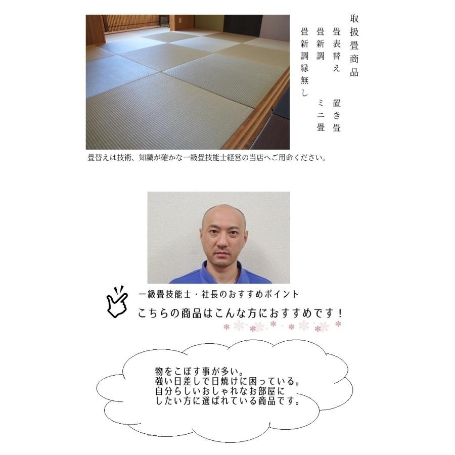 畳表替え ダイケン和紙表 清流 1畳 縁あり畳 江戸間サイズ カラー 銀白色 黄金色 乳白色 栗色 灰桜色 白茶色 若草色 藍色 薄桜色他全15色 和室敷き込みタイプ I 置き畳の和風生活館 通販 Yahoo ショッピング