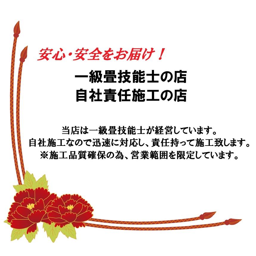 畳新調 縁なし畳 ペット用畳【ReFace】 半畳/1畳/4.5畳/6畳/8畳 3色 和室敷き込みタイプ 耐水性 耐久性 ワンちゃん ねこ お手入れ楽 対応地域 神奈川県_9