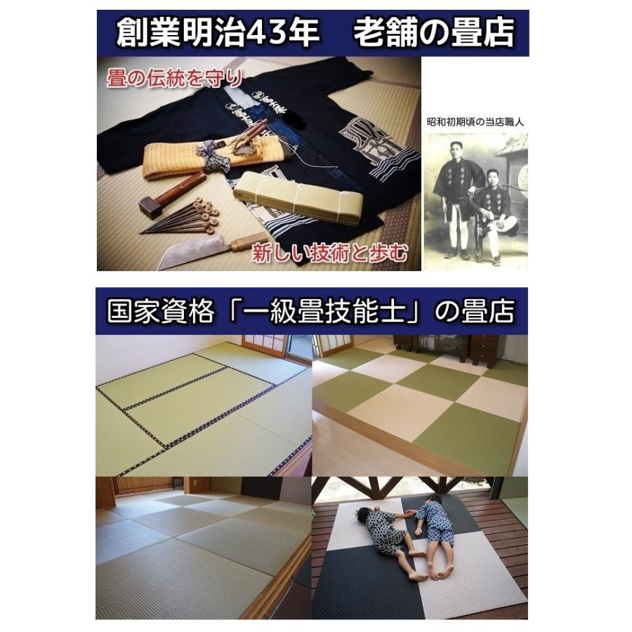 信頼 畳表替え わんにゃんスマイル畳 1畳 縁あり畳 江戸間サイズ カラー6色 縁無しにも対応 和室敷き込みタイプ 全商品オープニング価格特別価格 Zoetalentsolutions Com