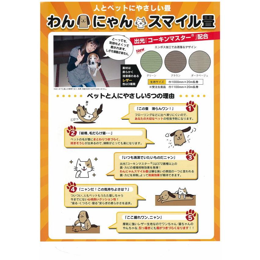 畳新調 畳替え 縁付き畳 6畳 ペット用畳【わんにゃんスマイル畳 】江戸間サイズ カラー6色 畳厚み 30-60mm 縁無しにも対応_2