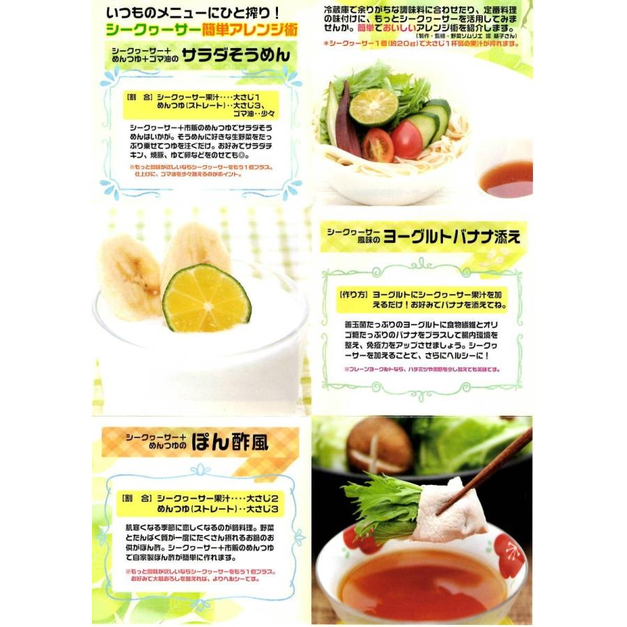 シークワーサー500ml天然果汁100 保存料無添加 沖縄県大宜味村産 Shikuwa500 オキテラス 通販 Yahoo ショッピング